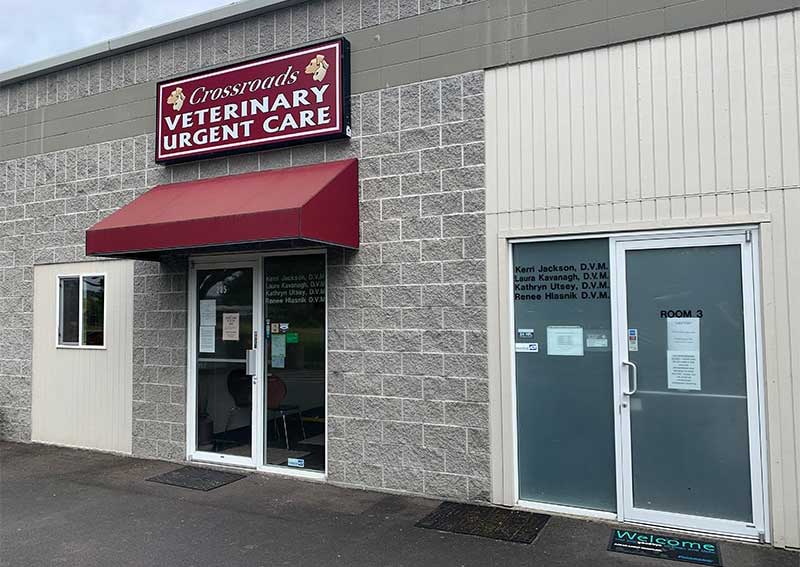 Carousel Slide 2: Crossroads Veterinary Hospital