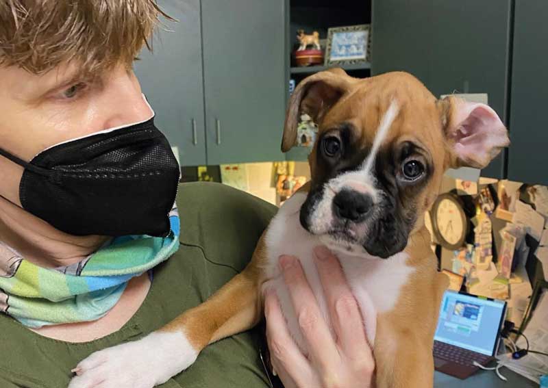 Carousel Slide 3: Spay and neuter services in Sherwood, OR