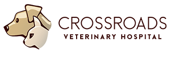 Link to Homepage of Crossroads Veterinary Hospital